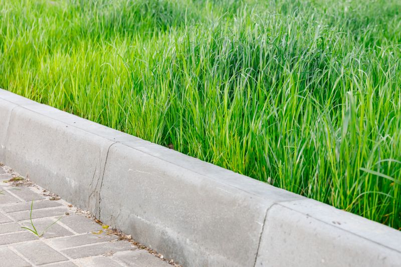 Concrete Curbing Repair in West Des Moines, IA