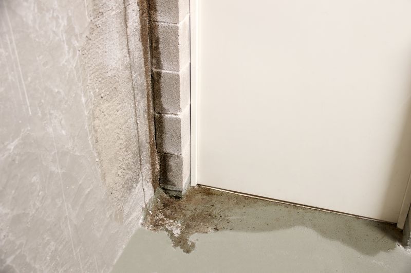 Leaking Basement Repair in Sarasota, FL